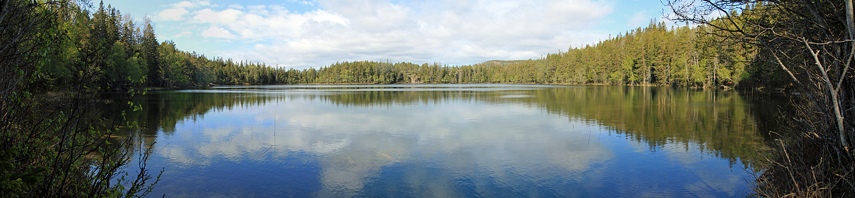 Balestjärnen