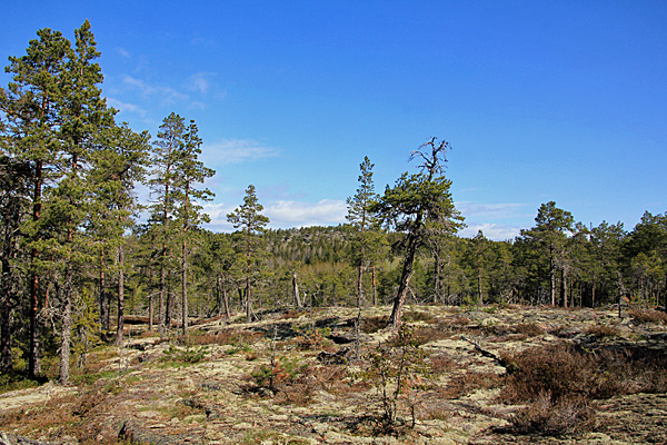 Balesudden-Halbinsel