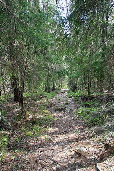 Abstieg nach Sör-Balesviken