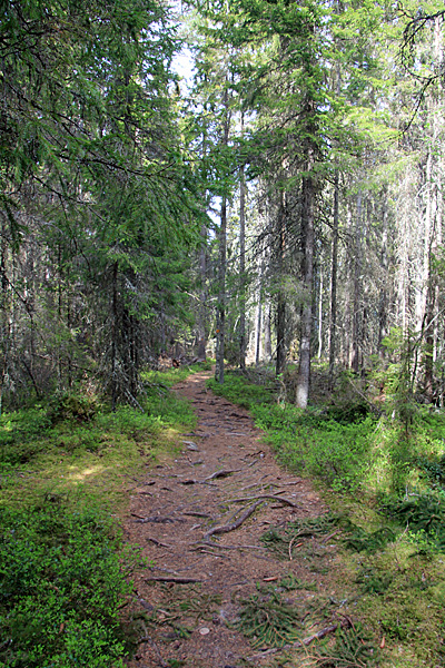 Wanderweg nach Mellan-Balesviken