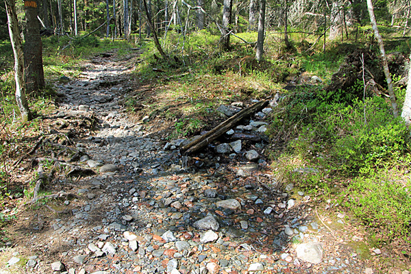 Bach an der Bucht Mellan-Balesviken