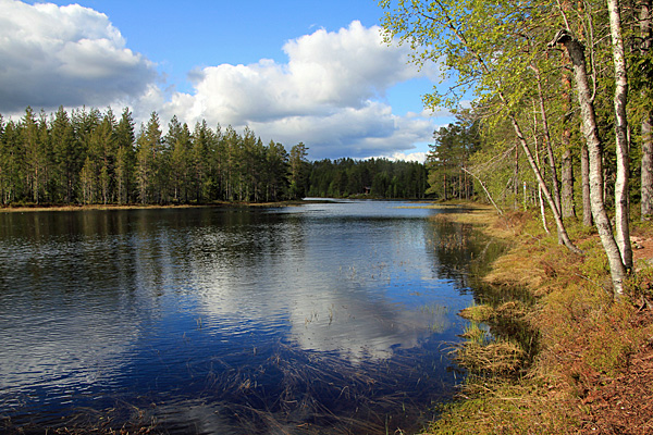 Småtjärnarna