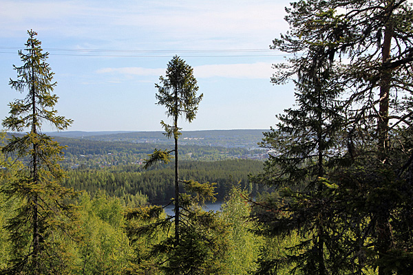 Ausblick vom ArkNat-Windschutz