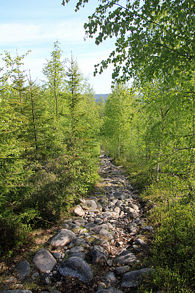 Weg zum Hamptjärnen