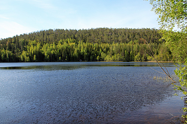 Hamptjärnen