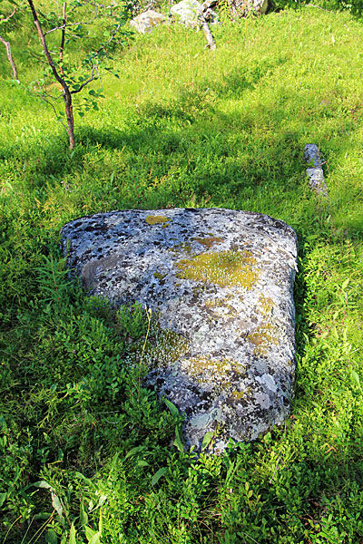 Felsen im Gras