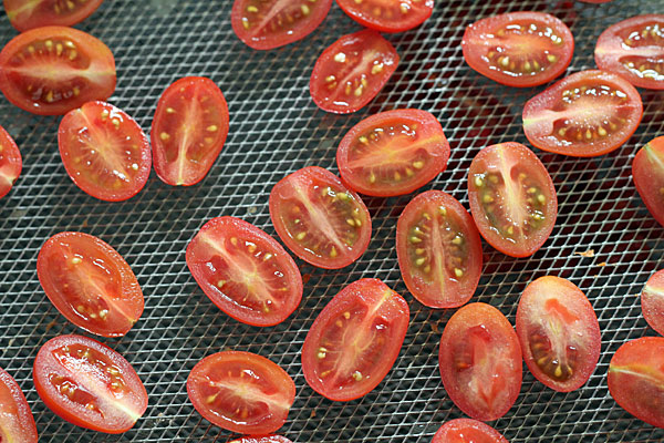 Datteltomaten vor dem Dörren