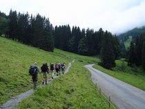 Richtung Schwarzwald-Alp