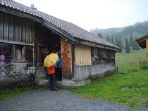 Schwarzwald-Alp