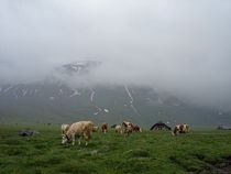 Engstligenalp