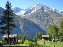 Weisshorn