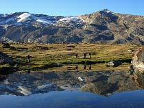 Wasserspiegelung am Stellisee