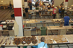 Fisch in der Markthalle Mercado dos Lavradores