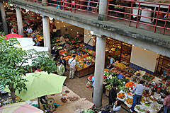 Markthalle Mercado dos Lavradores
