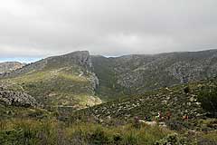 Puig de sa Paret des Moro