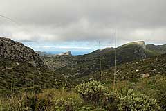 Blick zum Puig d'en Farineta