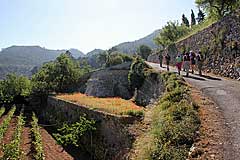 Auf dem Cami de la Font de la Vila