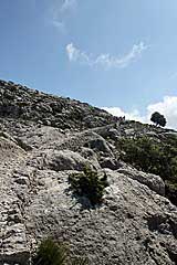 Der Camí de s'Arxiduc führt mit gleichmüssiger Steigung bergan