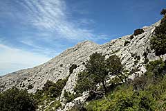 Blick zum Puig de Massanella espolón S