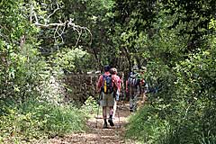 Der Weg verläuft zwischen Trockenmauer und dem Fluss