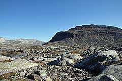 Steinwüste am Fusses des Trehakfjellet