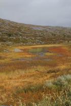 Tümpel im Sørdalen