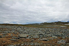 Blockfeld am Suottasjjåhkå