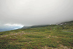 Der Kungsleden führt direkt in die Wolke