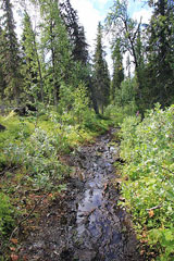 Matschiger Kungsleden