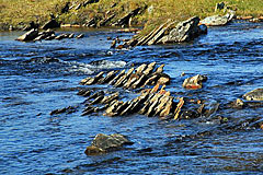 Fluss zwischen Gieddoajvejárátja- und Gårråjávrátja-See