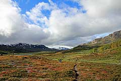 Blick nach Westen durch das herbstlich verfärbte Tal