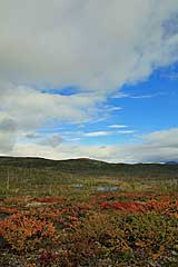 Herbstfarben im Tal des Kamajåkka