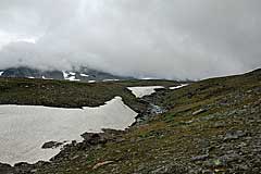 Sähkokjåhkå oberhalb der Schneebrücke