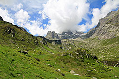 Die grünen Wiesen in Lochberg