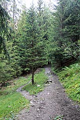 Wanderweg aus Splügen