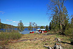 Kyrksvedjan