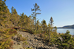 Grönsviksfjärden