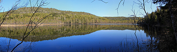 Nördomstjärnen