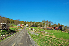 Gavik