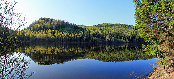 Morgenstimmung am Högforstjärnen