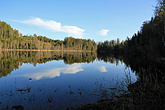 Spiegelglatter Högforstjärnen