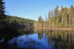 Spiegelglatter Högforstjärnen