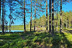 Mäjasjön