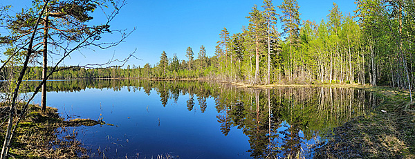 Mäjasjön