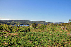 Blick zum Ullångerfjärden