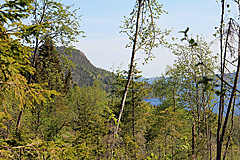 Fäberget