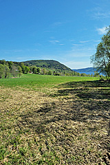 Fäberget