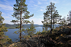 Färnsviken