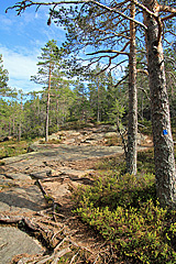 Östra Bergsstigen