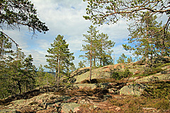 Östra Bergsstigen